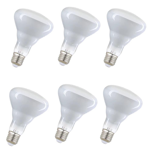 MOAKRIN BR30 Flood Incandescent Light Bulbs 65W, 2700K Soft White, 6-Pack