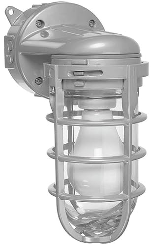 Metal Cage Wall Mount Light