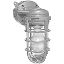 Metal Cage Wall Mount Light