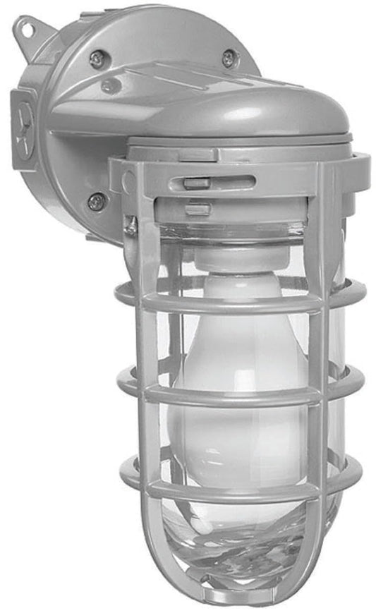 Metal Cage Wall Mount Light