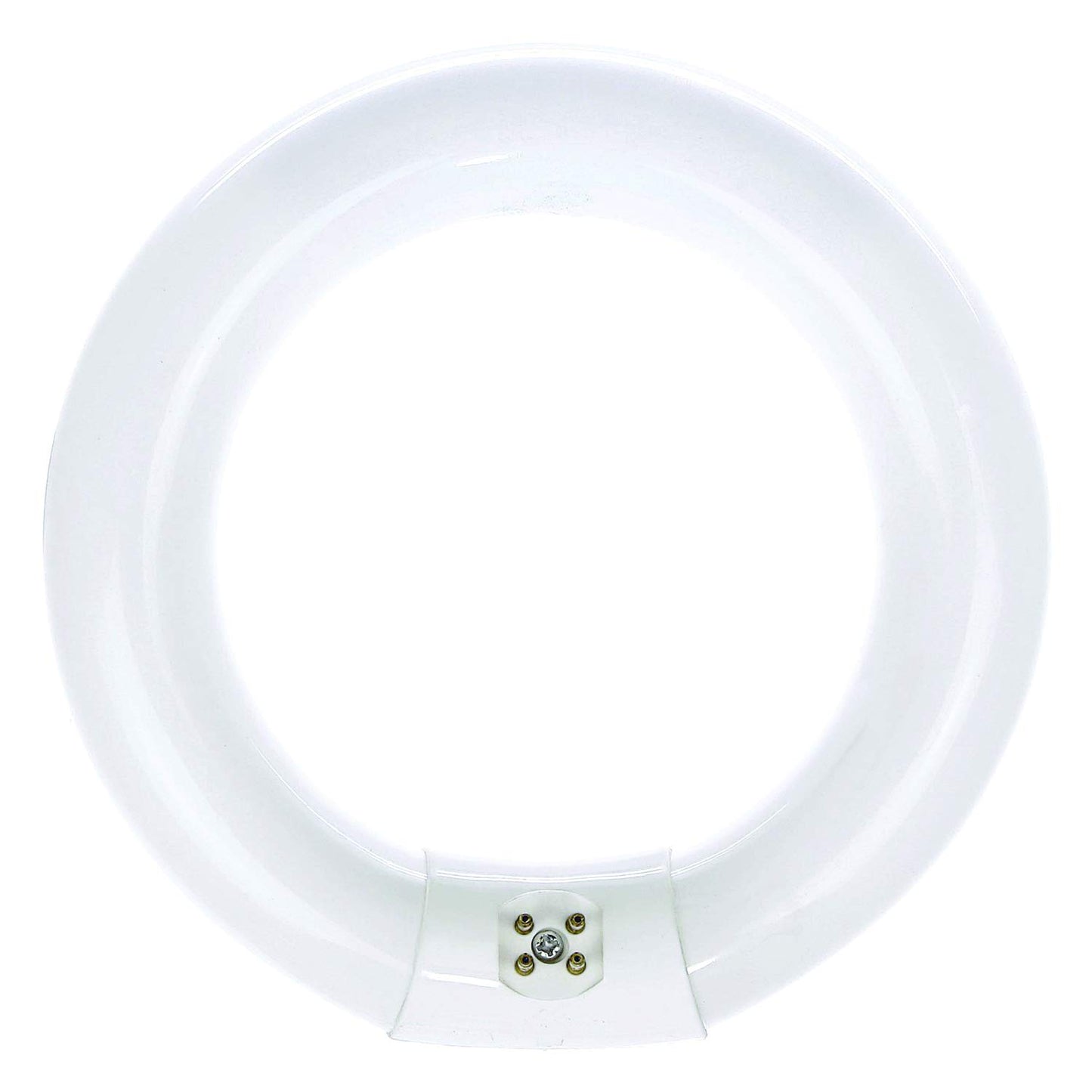 Luxrite LR20570 FC8T9/CW 22-Watt 8 Inch T9 Fluorescent Circular Light Bulb, Cool White 4100K, 1180 Lumens, G10Q 4-Pin Base