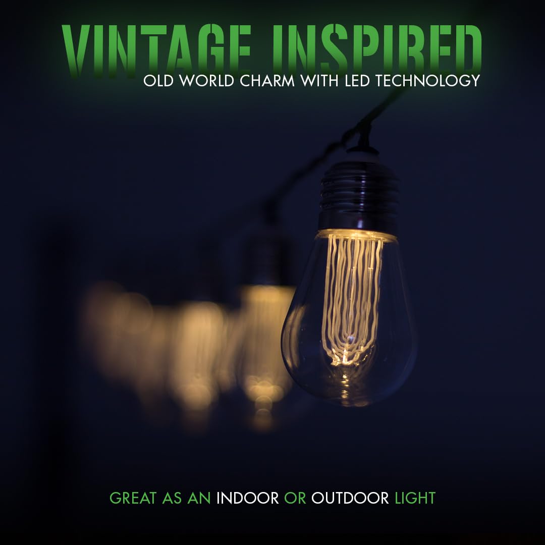 LitezAll® LED Edison Bulb 6 Piece String Lights