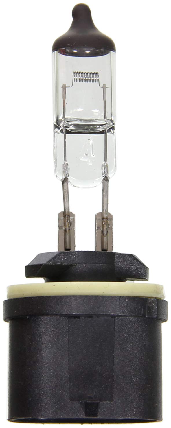 Wagner Lighting BP899 Standard Multi-Purpose Light Bulb Card of 1