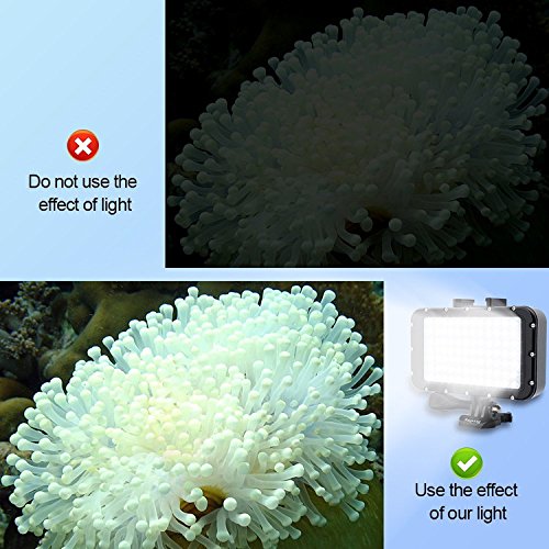 Suptig Underwater Lights Dive Light 84 LED High Power Dimmable Waterproof LED Video Light Waterproof 164ft(50m) for Gopro Canon Nikon Pentax Panasonic