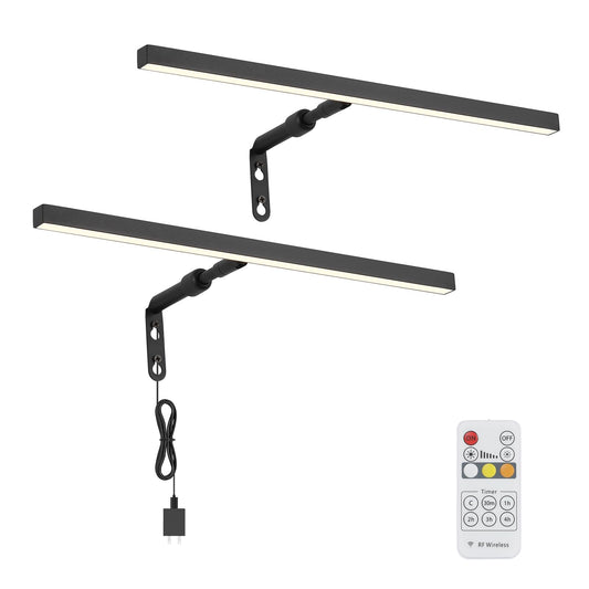 Pasoar 2 Pack Picture Lights for Paintings Plug in, 16" 4W Adjustable LED Picture Light Art Light with Timer, Remote Control Gallery Wall Light