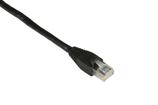 Black Box CAT6 550MHZ STR UTP PVC SNG BK 3FT