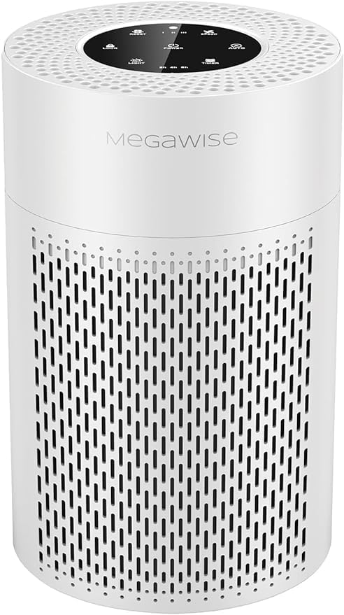 MEGAWISE Updated Version Air Purifier (1, Medium)