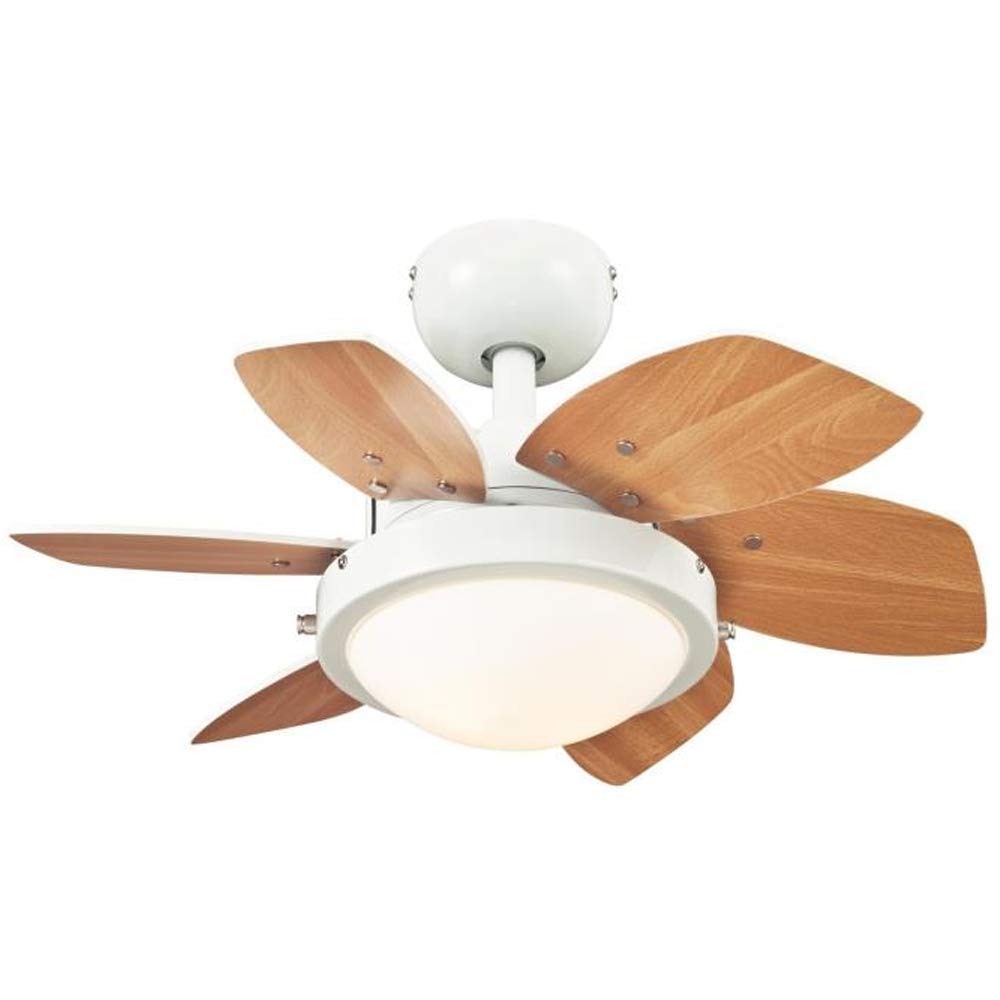 Ciata Small Ceiling Fan With Light, 24 Inch Quince Indoor Ceiling Fan in White Finish with Dimmable LED Light Fixture in Opal Frosted Glass