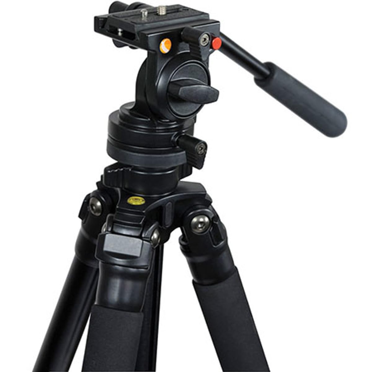 Celestron - Regal Premium Tripod - Durable Aluminum Support with Extendable Center Column - Swappable Feet for Any Surface - Works with Spotting