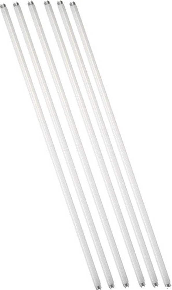 Eiko 15521-6 F15T8/CW Straight T8 Cool Fluorescent Tube Light Bulb, 18" Long, White (Pack of 6)