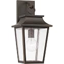 Capital Lighting 953311OZ Chandler Transitional Antiqued Glass Outdoor Wall Lantern, 1-Light 100 Watt, 16" H x 8" W, Oiled Bronze