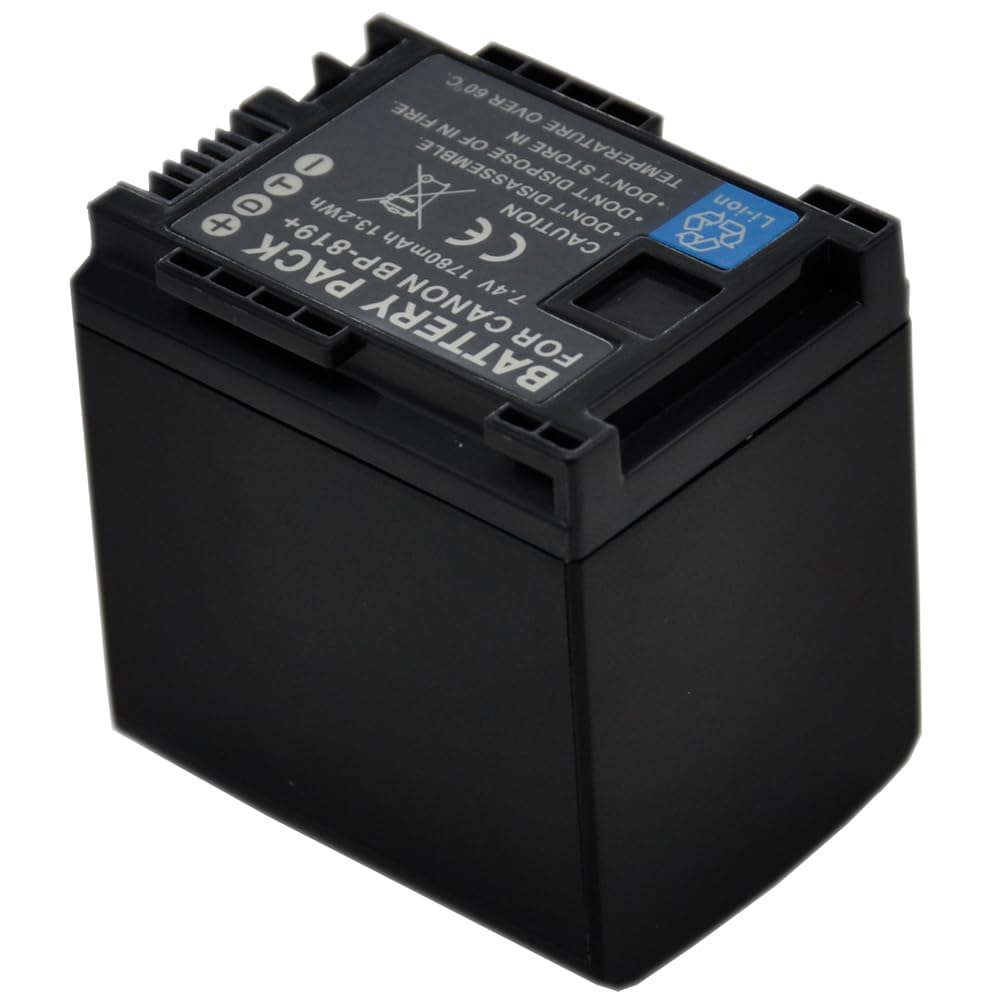 BTBAI Compatible bp-819 Battery for bp-809 bp-827 Digital Camera Video Camcorder (2X Battery+Charger AC Dual LCD)