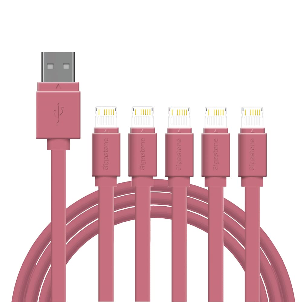 Gigastone ?5-Pack? Charging Cable for Apple Lightning Devices, 3ft Fast Charge 12W, Compatible with iPhone, iPad, Charging only, Data Sync not…