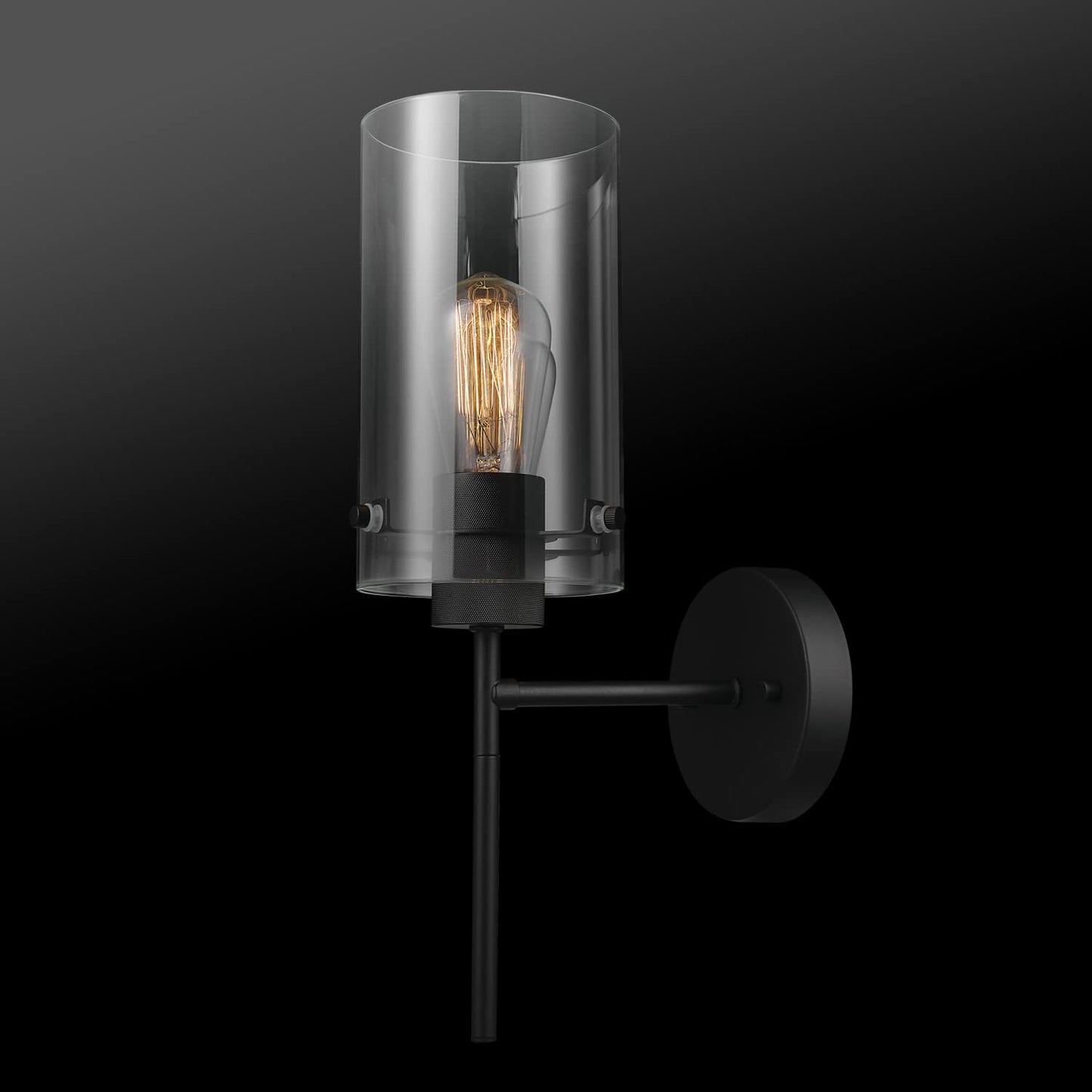 Globe Electric 51860 Pisaq 1-Light Wall Sconce, Matte Black, Clear Glass Shade, Bulb Not Included