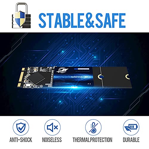 SSD SATA M.2 2280 500GB Dogfish Ngff Internal Solid State Drive High Performance Hard Drive for Desktop Laptop SATA III 6Gb/s Includes SSD 60GB 120GB