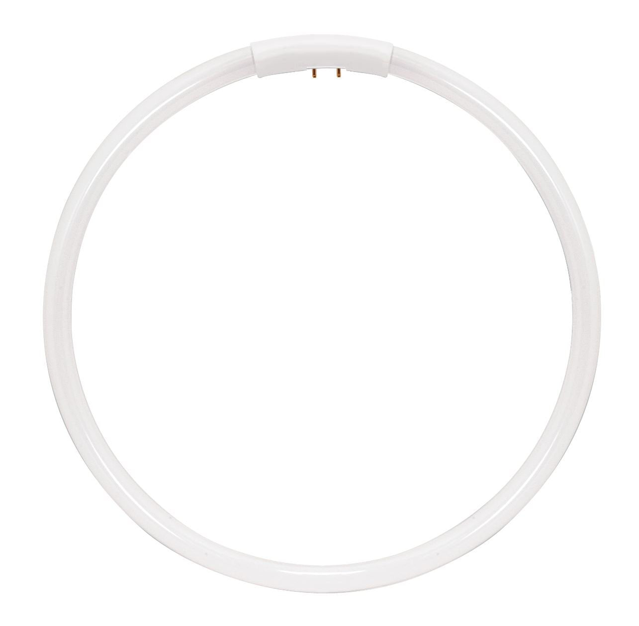 HyGrade FC22T5/865/G10q Fluorescent T5 Circline High Performance Lamps, 22W G10q T5, Bulb