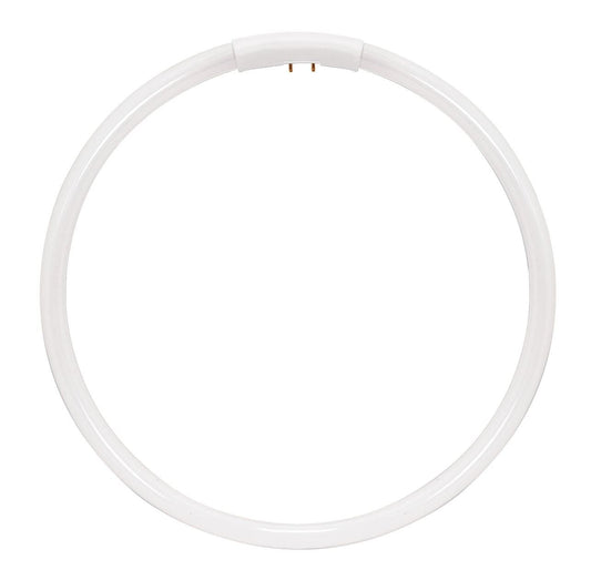 HyGrade FC22T5/865/G10q Fluorescent T5 Circline High Performance Lamps, 22W G10q T5, Bulb