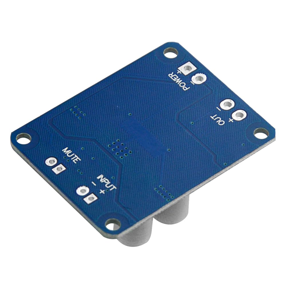 XINGYHENG 2Pcs TPA3118 Single Channel Digital Audio Power Amplifier Board Module 1X60W DC 12V-24V Converter for Audio System DIY Speakers