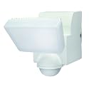 IQ America Motion Security Flood Light, Battery Operated Motion Sensor, 500 Lumen LED, Indoor Outdoor Universal Eave Soffit/Wall Mount Closet Shed