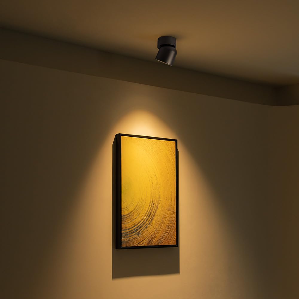 Aisilan 9W Dimmable LED Ceiling Spotlight, Adjustable Directional Surface Flush Mount Lighting, Wall Spot Lights Indoor Accent Fixture Fitting