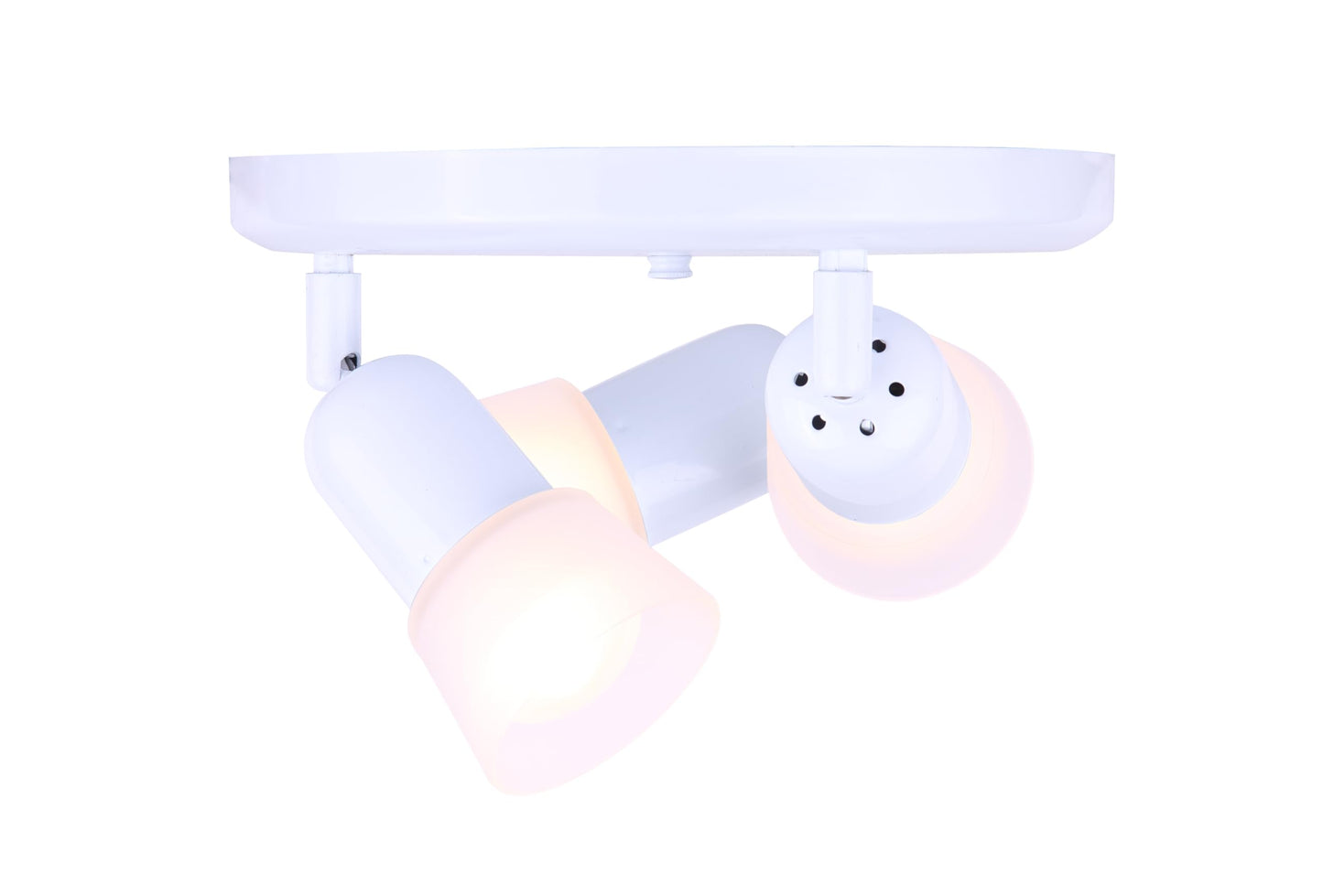 CANARM ICW5311 Ceiling/Wall Omni 3 Light