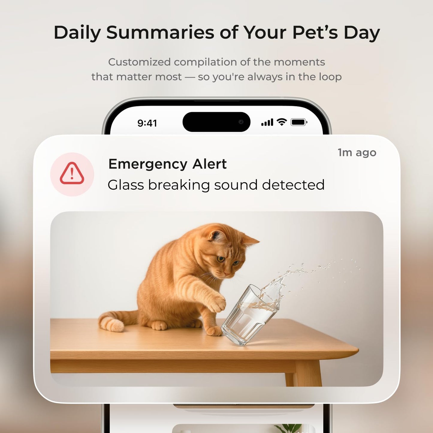 Petcube Cam 360 The Pack of 3 Camera | Ultimate Interactive WiFi Pet and Home Security Pan-Tilt Camera with Phone App, 1080p HD Video, 360° Rotation