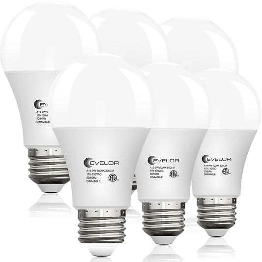 evelor 6 Pack LED Light Bulbs,60 Watt Equivalent Daylight 5000K,A19
