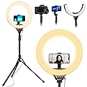 UBeesize 14'' LED Foldable Ring Light with 62'' Tripod Stand, Selfie Ring Light for Video Recording, Live Streaming, TikTok & YouTube, Compatible with
