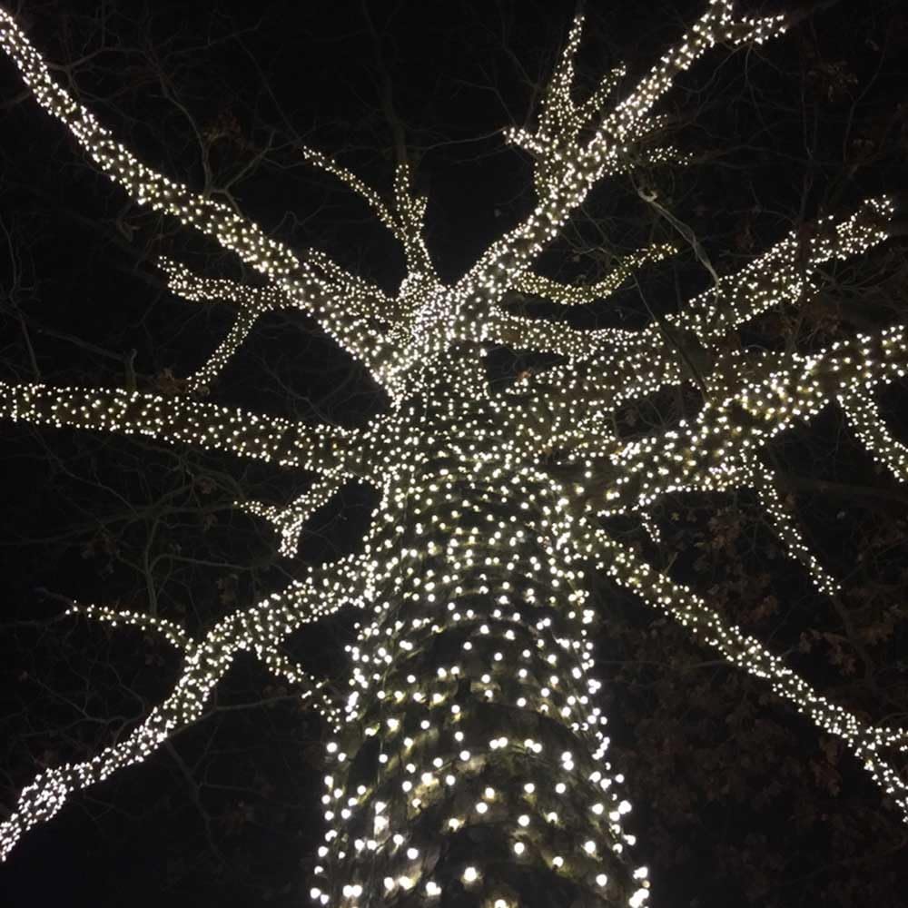 Novelty Lights 34ft Christmas String Lights, 100 Pure White LED Bulbs on Black Wire, 4" Spacing, Connectable Indoor Outdoor Commercial Grade Lighting