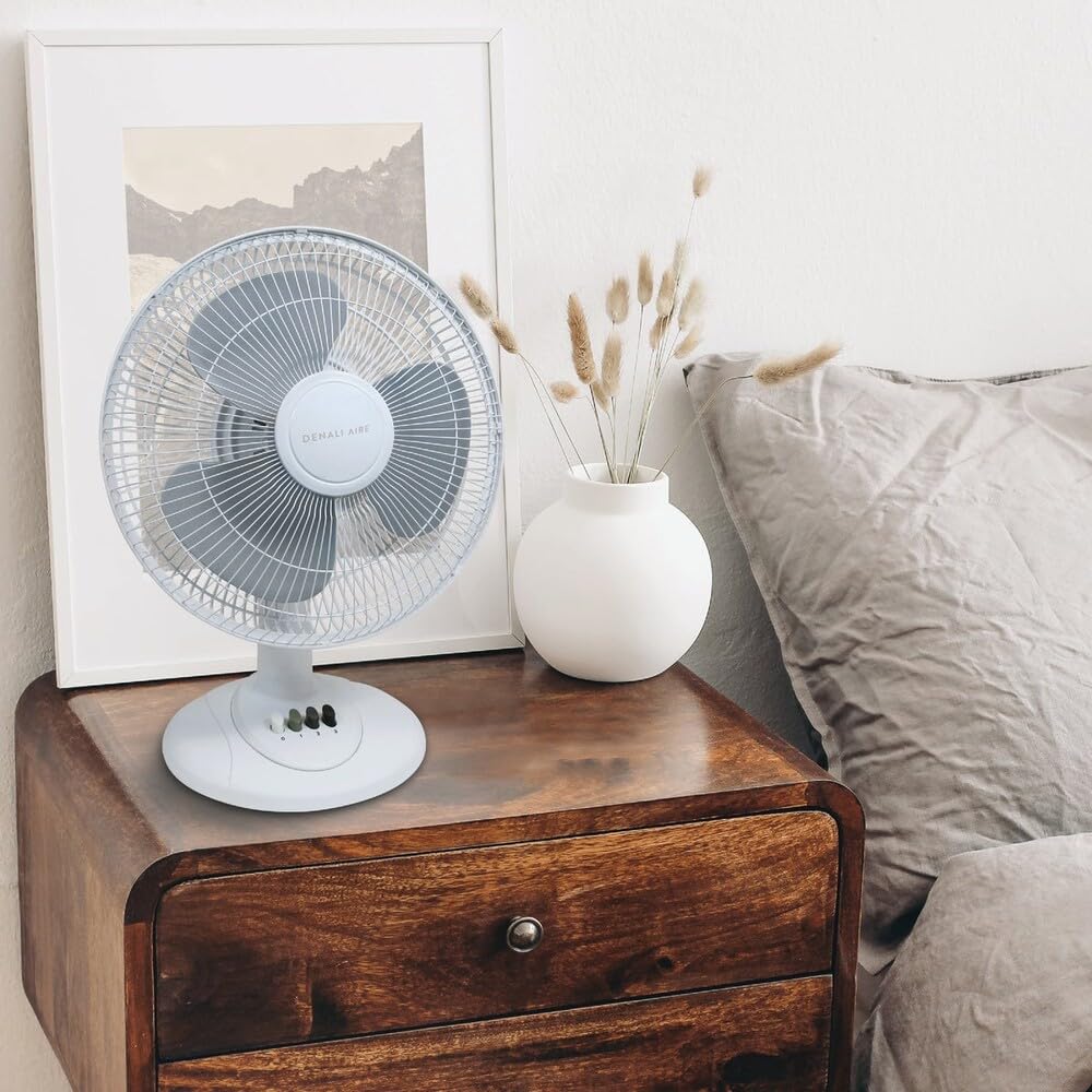 Oscillating Fan
