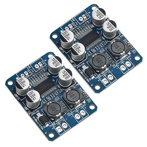 XINGYHENG 2Pcs TPA3118 Single Channel Digital Audio Power Amplifier Board Module 1X60W DC 12V-24V Converter for Audio System DIY Speakers