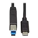Tripp Lite USB C to USB Type B Cable USB Type C 3.1 Gen 2, 10 Gbps M/20In (U422-20N-G2)