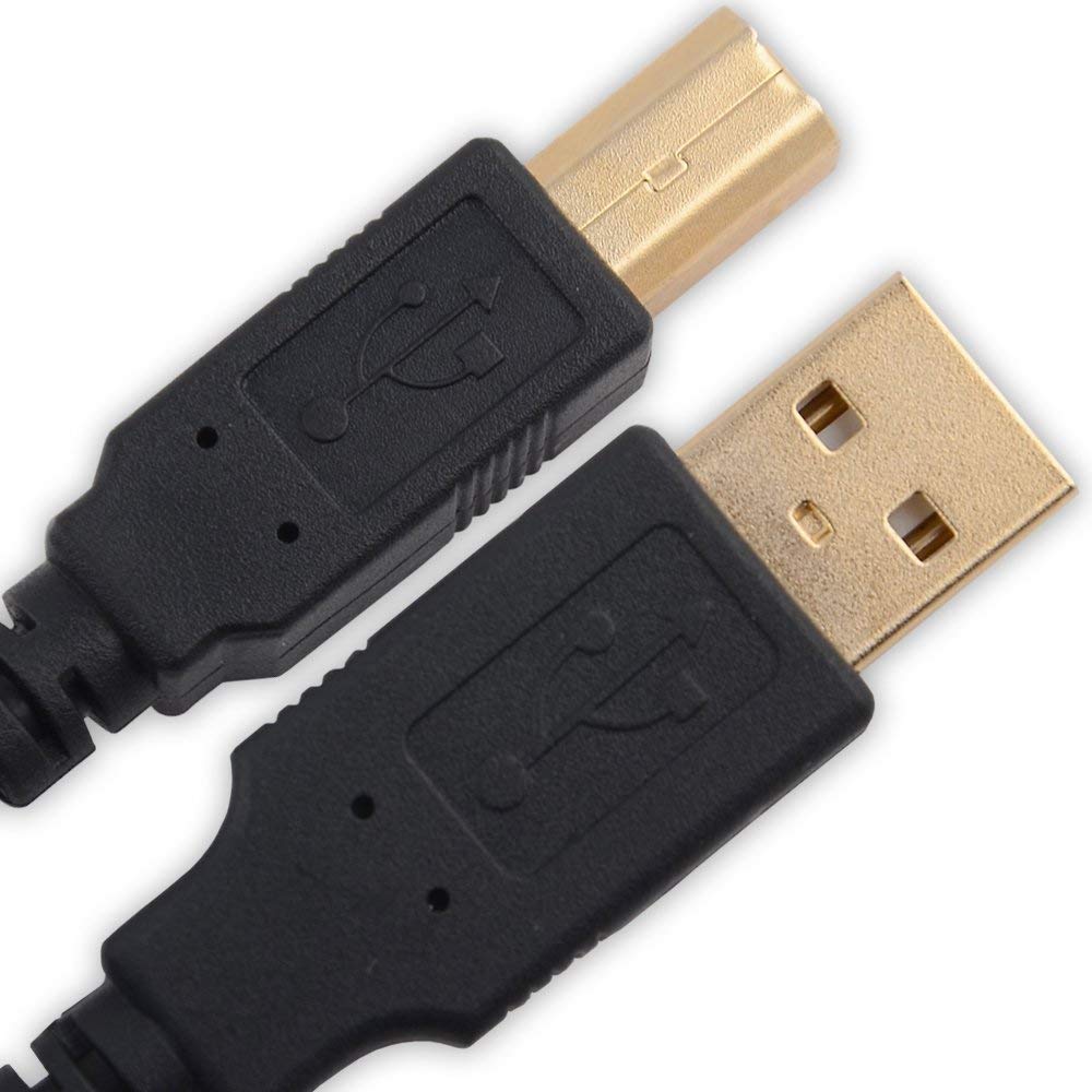 Omnihil Universal 8 Feet USB 2.0 Type A Male to B Male for Printers, Scanner, and Musical Devices (Compatible with Many Models)