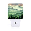 FSHVQKD Mountain Forest Landscape Painting Night Light,Plug Into Wall Decor for Stairway,Hallway,Kitchen,Dusk to Dawn Sensor Nightlights
