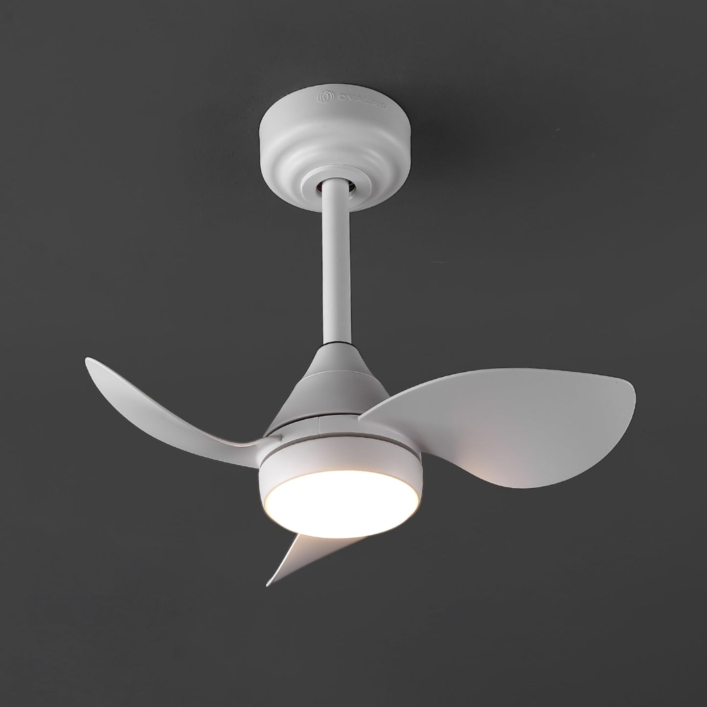 OVAL AIR AIR8000B Albini 22" Contemporary Minimalist 6-Speed Metal Mobile-App/Remote-Controlled Dimmable Smart Integrated LED Ceiling Fan for Living