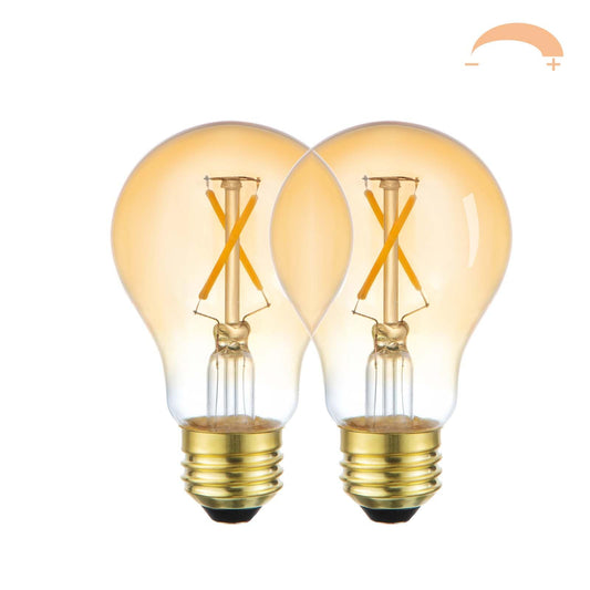 Yaoten A19 Vintage LED Edison Light Bulbs, 2-Pack Dimmable 2W 2700K Amber Warm Light, E26 Base, 2W Equal 25W Incandescent Bulbs, Decorative Antique