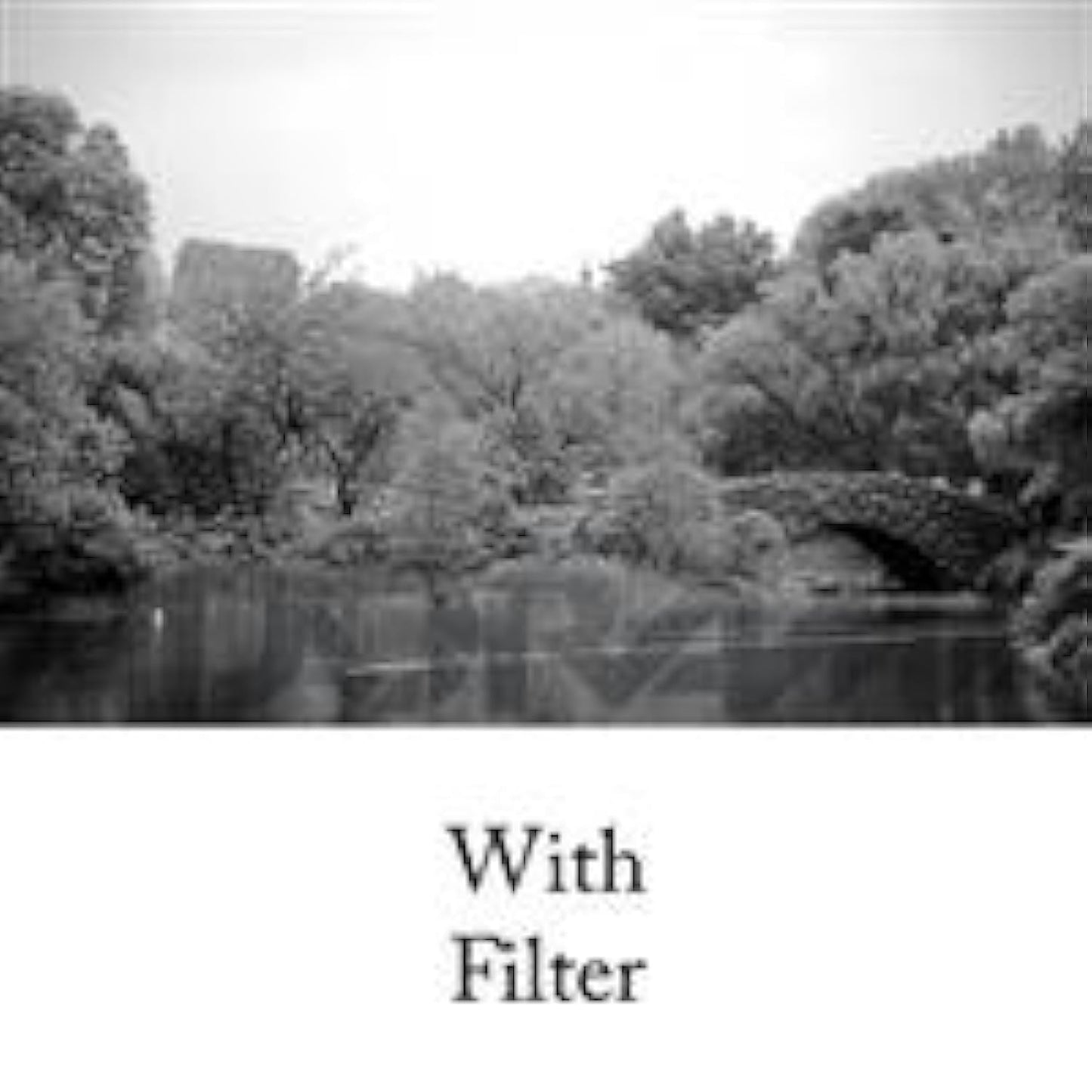 Tiffen 62mm 21 Filter (Orange)