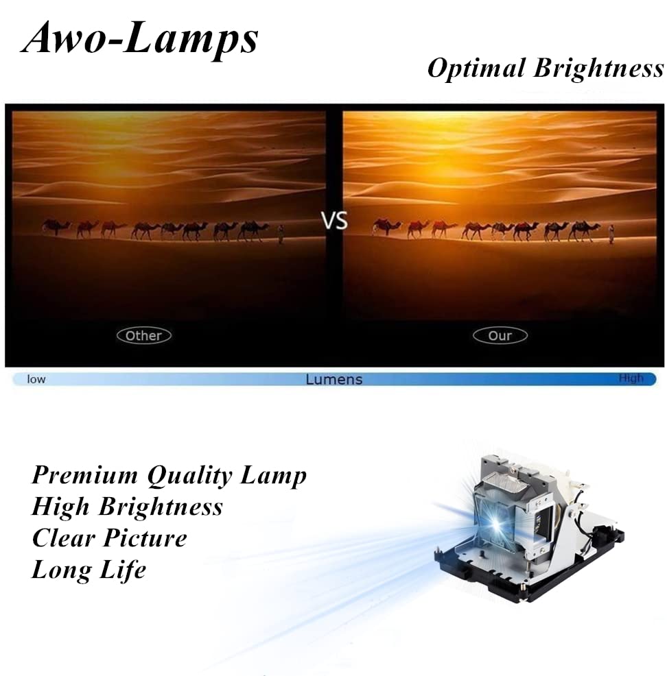 AWO BL-FU310B / 5811118436-SOT Premium Replacement Lamp Bulb with Housing for OPTOMA EH500,X600,DH1014,DH1017 Projectors
