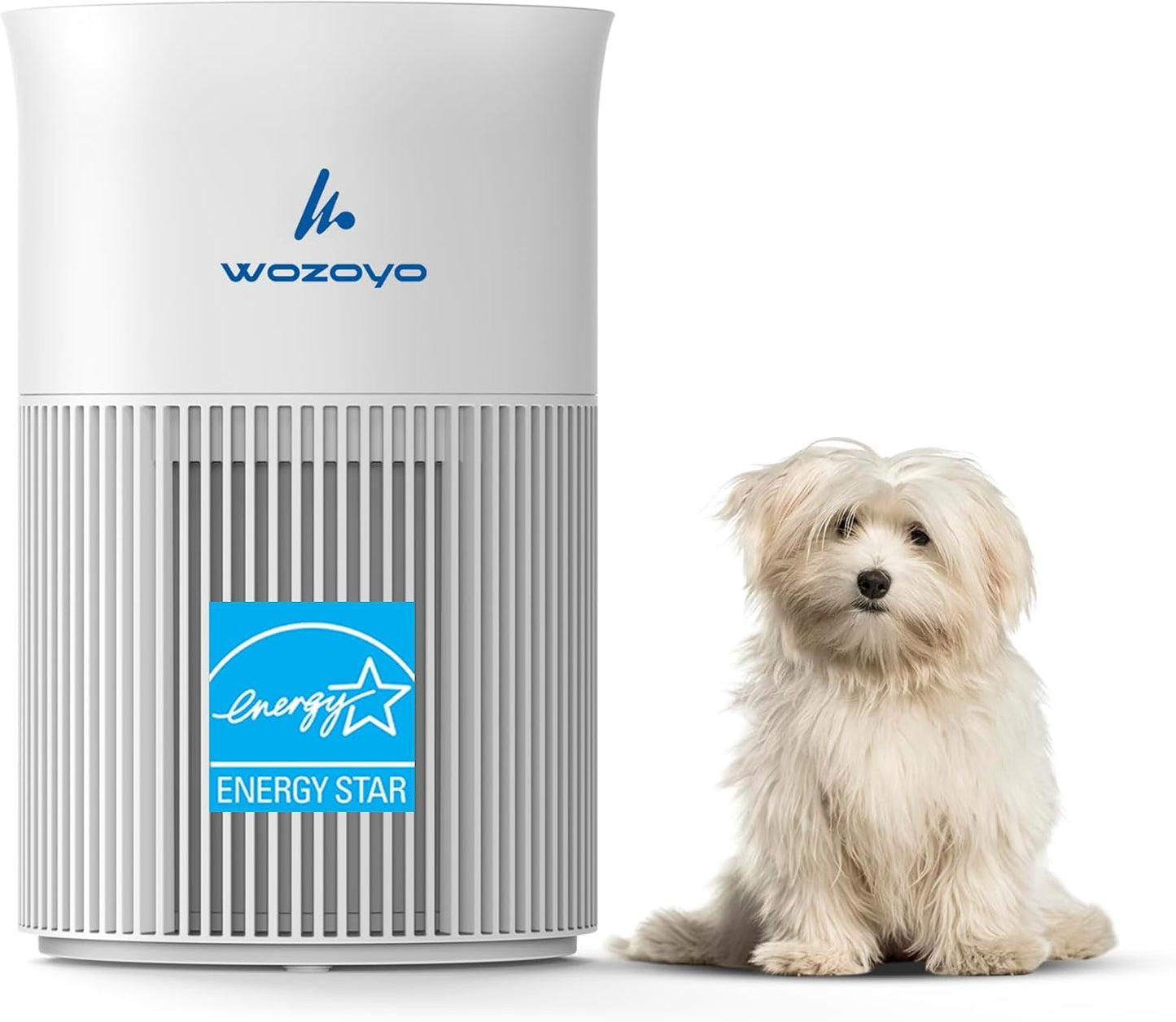 Pure Air PA1 Wozoyo Air Purifier For Bedroom Home, Office, Desktop, AHAM VERIFIDE, Covers Up To 300 ft², 3-in-1 HEPA Filter Cleaner With Aroma Pad