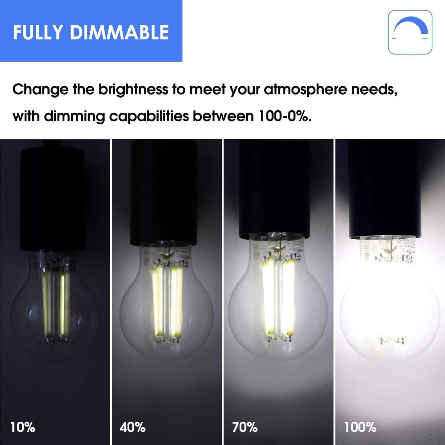 Energetic Dimmable A19 LED Edison Light Bulb, 12W Equivalent 100W, 1600LM High Brightness, 5000K Daylight, Clear Antique LED Filament Bulb for Home