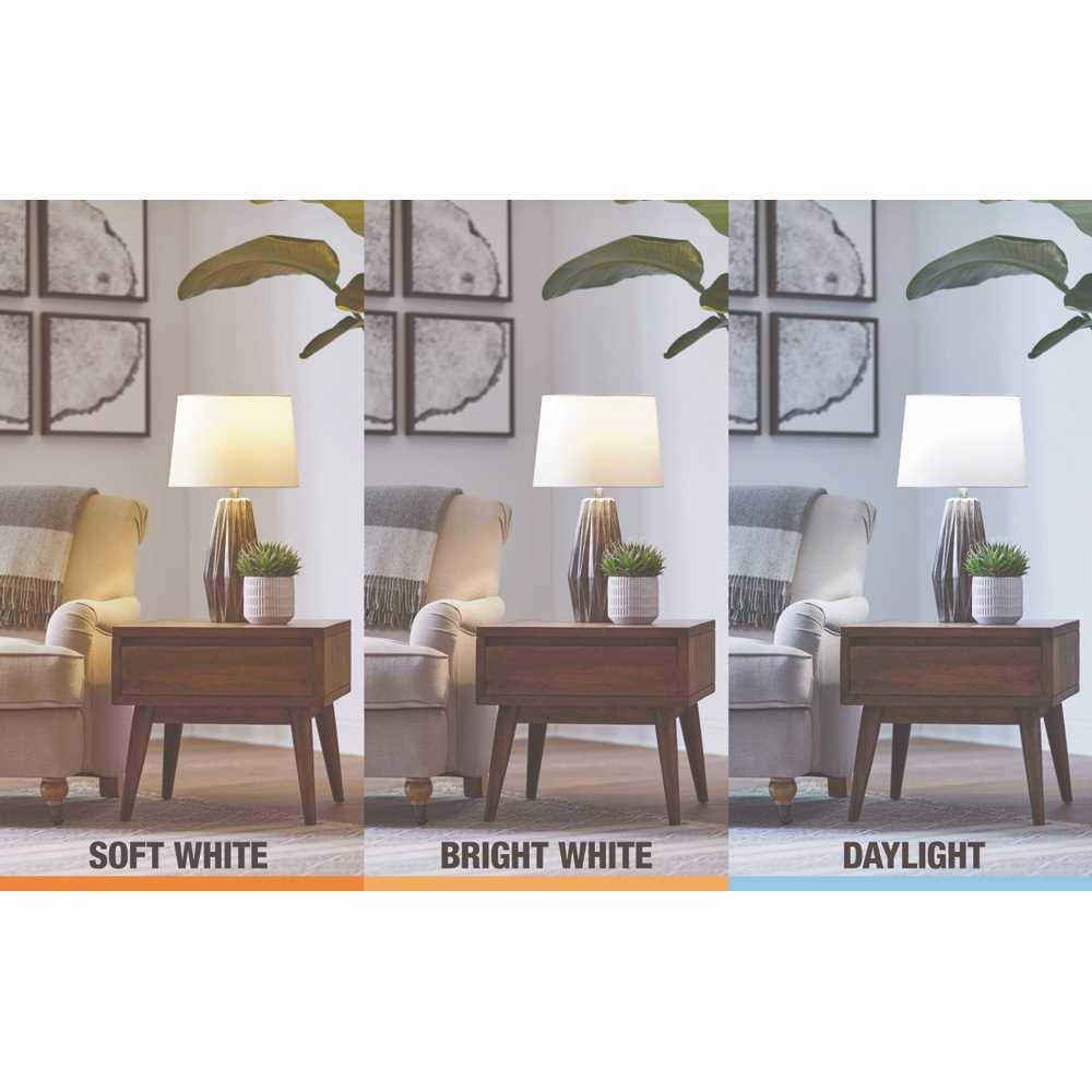 EcoSmart 75-Watt Equivalent PAR30 Dimmable Flood Energy Star LED Light Bulb Daylight (2-Pack)