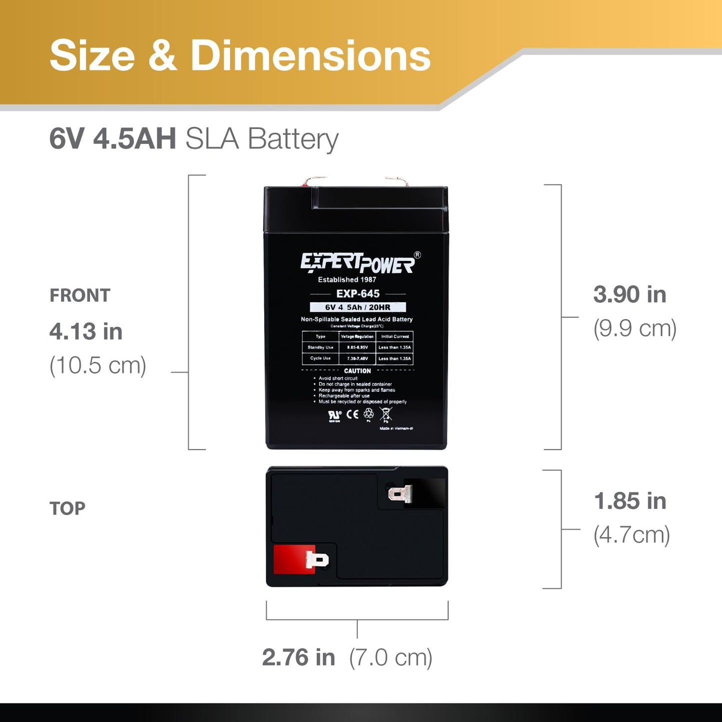 ExpertPower 6 Volt 4.5 Amp Rechargeable Battery (EXP645) 2 Pack