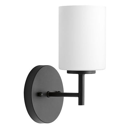 Progress Lighting Replay Collection 1 Light Bathroom Vanity Light, Modern Bath Lighting Fixture with Etched White Glass Shades for Over The Mirror