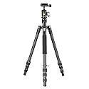 Vanguard Vesta GO 204CB Ultra Lightweight and Packable Carbon Fiber Travel Tripod with VEO BH-45 Ball Head