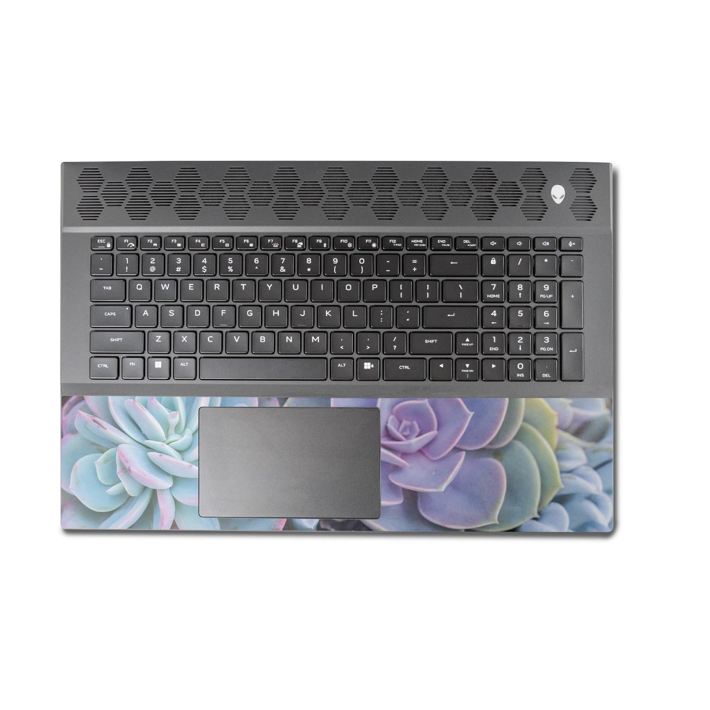 MightySkins Skin Compatible With Alienware M18 R1 (2023) Full Wrap Kit - Succulent | Protective, Durable, and Unique Vinyl Decal wrap cover | Easy…