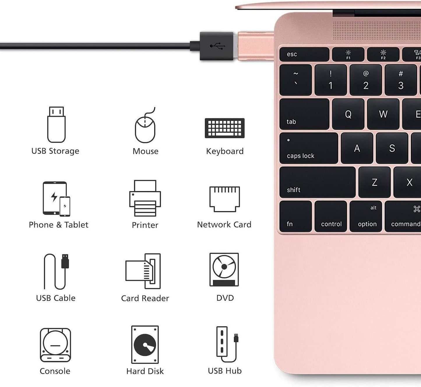 BEYEE USB C Adapter (2 Pack),High-Speed Data Transfer, USB-C to USB 3.0 Female Adapter for MacBook Pro 2020, iPad Pro 2020, Samsung Notebook 9,Dell…