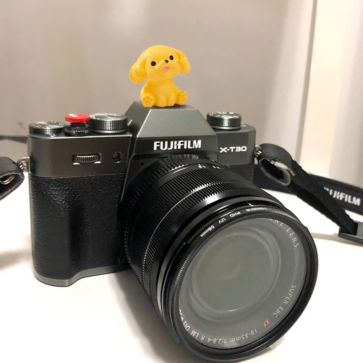 Camera Hot Shoe Cover, Cute Cap and Protector Compatible With Sony Fujifilm Fuji Canon Nikon Pentax Leical Panasonic (2pcs Golden Retriever + Tactic)