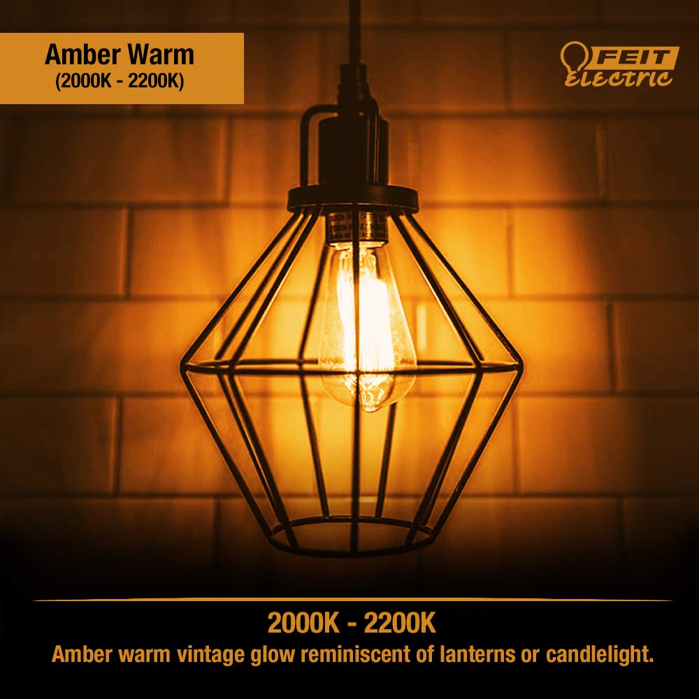 Feit Electric T10 Exposed Filament Light Bulb, 40W Eq