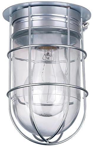 Canarm Outdoor Silver Barn Light, Industrial Wall or Ceiling Mount Sconce, 7-Inch Damp Rated Fixture for Porch, Patio, or Entryway