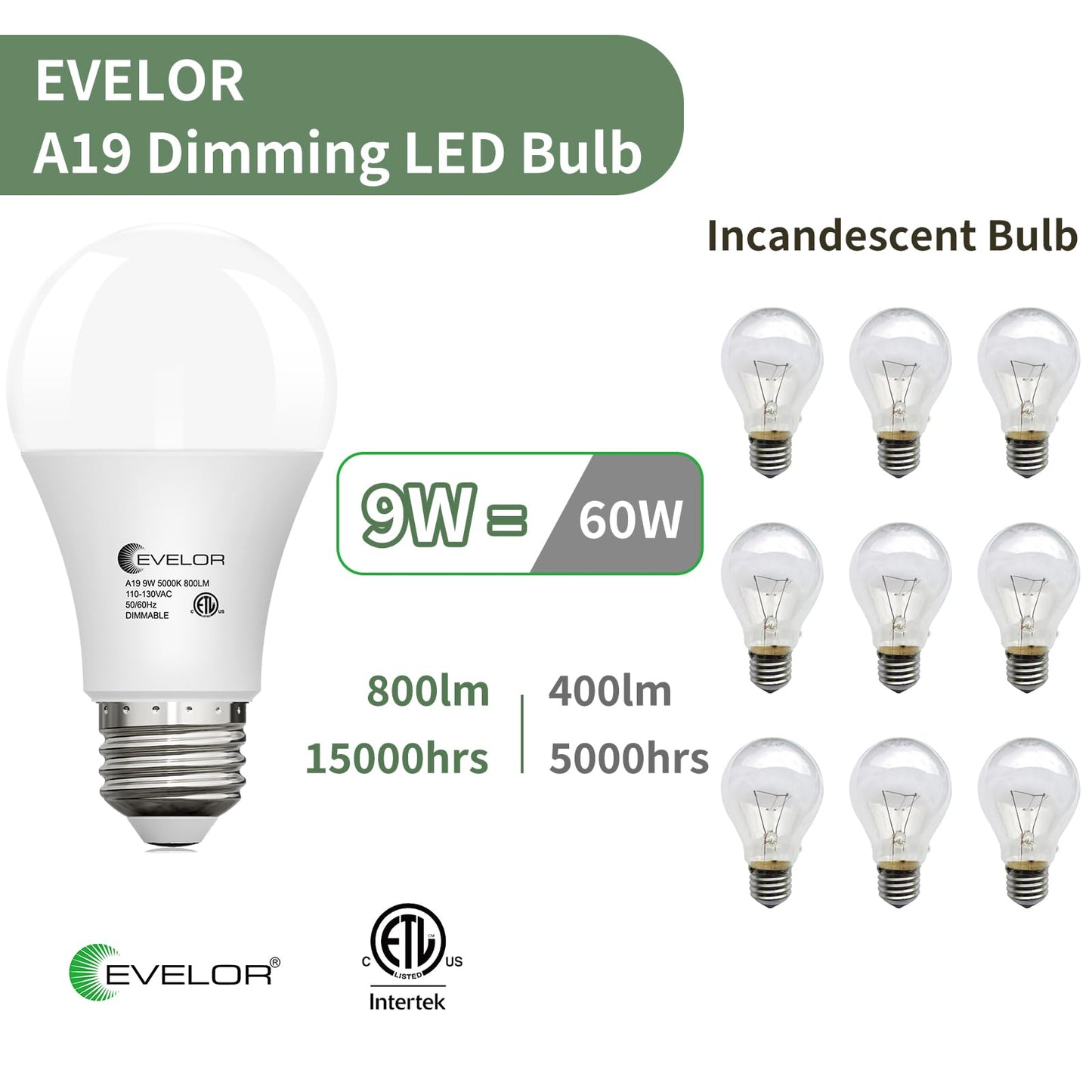 evelor 12-Pack A19 LED Light Bulbs,60 Watt,Daylight 5000K,Dimmable,E26 Base